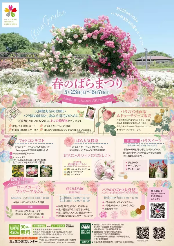 いくとぴあ食花　春のばらまつりを5/23(土)より開催　フォトコンテスト・マルシェなど週替わりイベントも充実