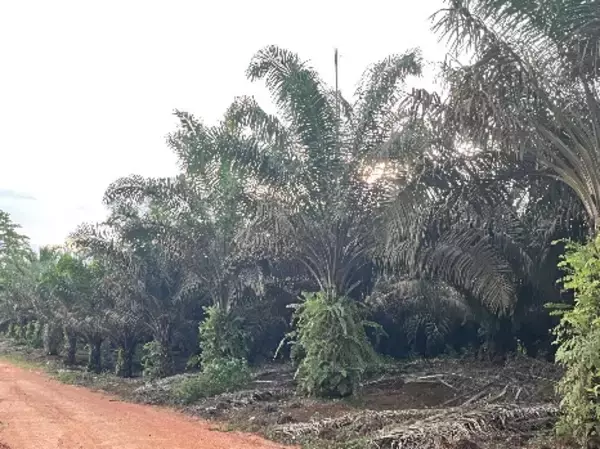 「アイシン高丘、インドネシア国営研究開発センター「テックミラ」との共同研究契約を締結」の画像