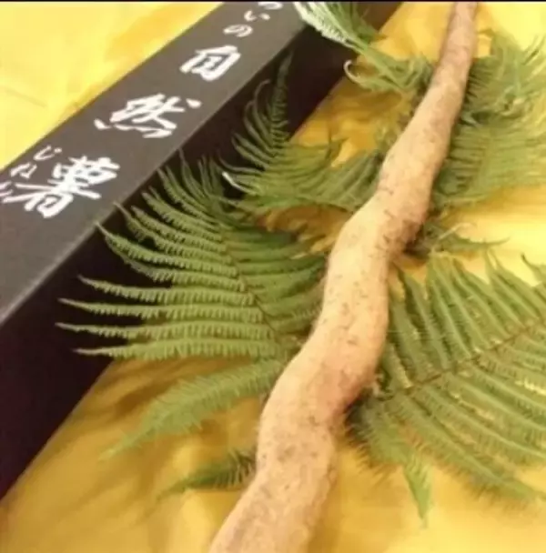 「ねっとり濃厚な甘さ　ＪＡかとり自慢の逸品産地直送通販サイト「ＪＡタウン」で千葉県産「べにはるか」を販売中」の画像