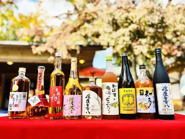 金賞受賞梅酒が水戸に集結 — 数量限定「獺祭梅酒」も登場、3月13日（金）開幕『全国梅酒まつりin水戸2026』