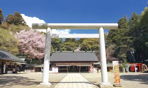 「金賞受賞梅酒が水戸に集結 — 数量限定「獺祭梅酒」も登場、3月13日（金）開幕『全国梅酒まつりin水戸2026』」の画像