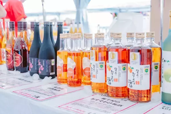 「金賞受賞梅酒が水戸に集結 — 数量限定「獺祭梅酒」も登場、3月13日（金）開幕『全国梅酒まつりin水戸2026』」の画像