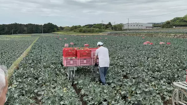 農業現場の声から生まれた電動台車― ブロッコリー収穫後の運搬負担を軽減 ―産学官地連携による開発成果を農業WEEK(JAGRI)九州で展示