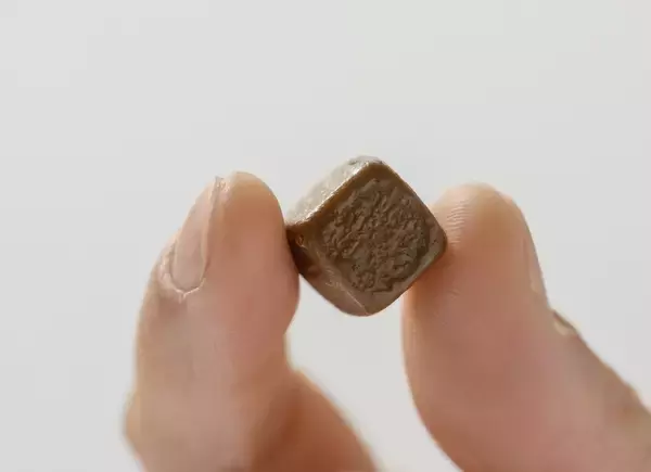 「「チョコじゃないの!?」専門家も驚いた“ごぼうスイーツ”『GOVOCE ミルク』が11月1日より新発売」の画像