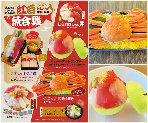 ＜年末恒例＞魚のテーマパークで紅白魚合戦！とと丸坂43定食・紅白いいじゃん丼などエンタメ丼が新登場　第4回 紅白魚合戦を12月26日より開催