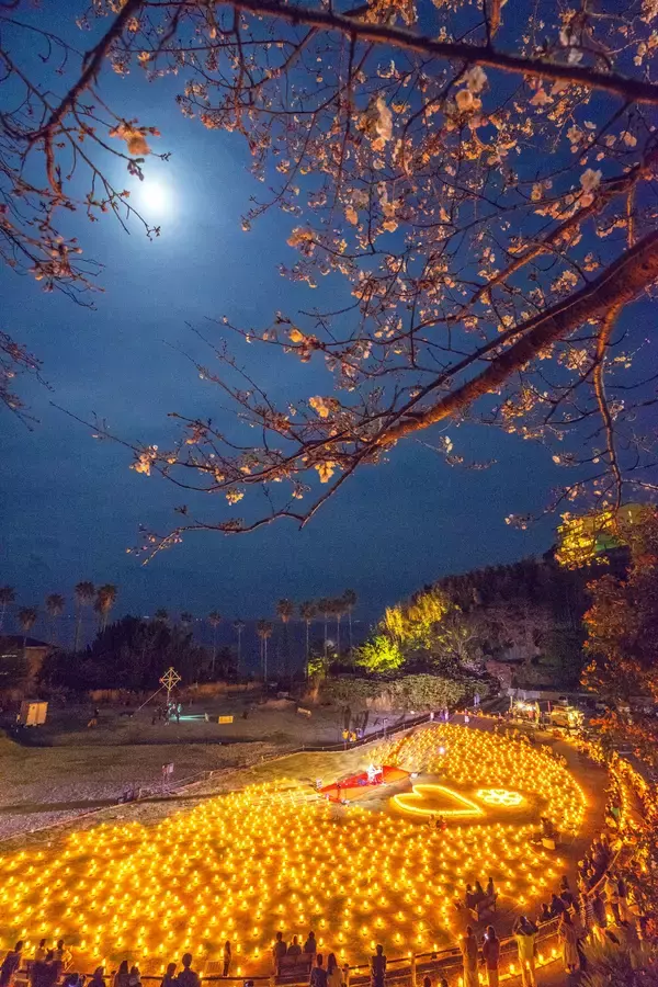 「第15回『東伊豆まちの魅力 フォトコンテスト』開催中　【入賞で賞金や特産品が貰える！】」の画像