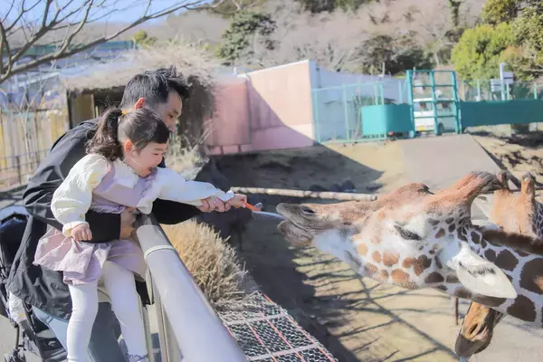 「第15回『東伊豆まちの魅力 フォトコンテスト』開催中　【入賞で賞金や特産品が貰える！】」の画像