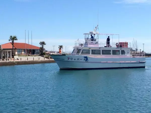 「銚子沖で野生イルカ・クジラとの感動体験継続へ｜フリッパー修繕プロジェクトが本格始動」の画像