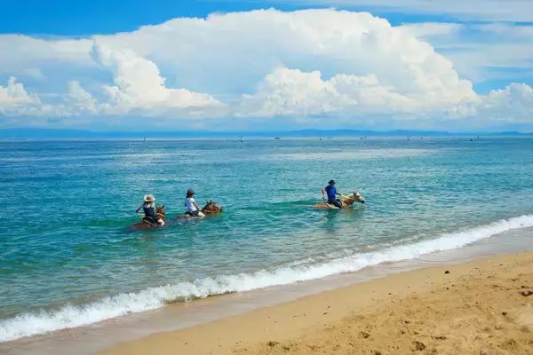 “海に入る乗馬体験”×フレンチ＆宿泊！淡路島で過ごす極上の夏Auberge フレンチの森『マリンライド体験付きステイプラン』7月より夏季限定提供！