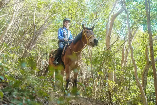 「“海に入る乗馬体験”×フレンチ＆宿泊！淡路島で過ごす極上の夏Auberge フレンチの森『マリンライド体験付きステイプラン』7月より夏季限定提供！」の画像