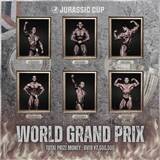 「【名正運輸冠スポンサー】ボディビル界最高賞金1,140万円「JURASSIC CUP2026」全国4大会開催決定」の画像4