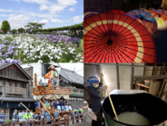 映像と共に巡る「小江戸・佐原」歴史と文化、自然が織りなす 四季折々の見どころをご紹介