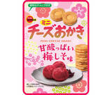 「さわやかな甘酸っぱさが広がる梅しその味わい　ブルボン、“味ごのみ梅しそ風味”など2品を期間限定で1月20日(火)に新発売！」の画像2