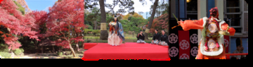 小石川後楽園【令和８年11月21日（土）～12月６日（日）開催】都立９庭園の中でも最大級の紅葉を満喫！「深山紅葉を楽しむ」