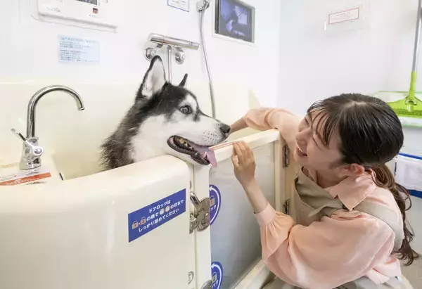 「志摩の魅力が盛りだくさん！「志摩まつり2026初夏（後援：志摩市・近畿日本鉄道株式会社）」開催！」の画像