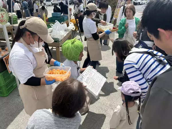 「“常総でいちばんメロンが盛り上がる季節”が今年もやってくる。『常総メロンフェス 2026』開催」の画像