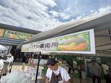 「5日間でメロン販売数8,000玉突破！！『常総メロンフェス2026』がまだまだアツい大好評につき6月30日(火)まで開催期間延長が決定」の画像3