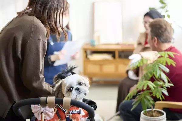 「【PEPPY史上最大！表紙募集キャンペーン結果発表】約1,500件の応募から選ばれた犬猫の姿が公開」の画像