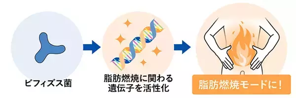 「無理しないでOK！カラダを「脂肪燃焼モード」にしてくれる、身近な食品とは？」の画像
