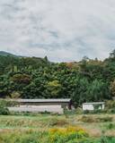 「奈良の食材を使用したレストランフェアを開催」の画像4