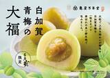 「【新商品情報｜2026年6月限定】大粒で上品な味わいの青梅をまるごと一粒使用した『白加賀青梅の大福』限定販売」の画像2
