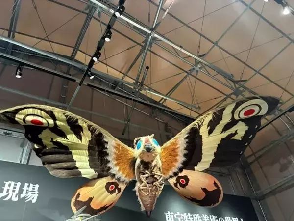 「まもなく始まる！淡路島「ニジゲンノモリ」で大人気怪獣と出会える！ゴジラミュージアム「モスラ特別展」 事前予約特典第2弾」の画像