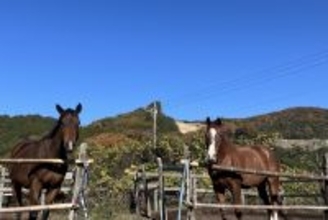 ヘイハチロウファームと進める「応援する気持ち」を支援に変える新業務提携