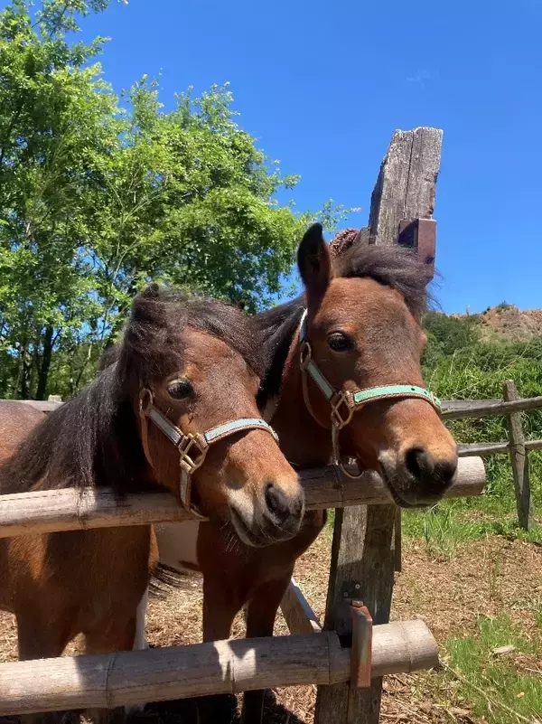 「ヘイハチロウファームと進める「応援する気持ち」を支援に変える新業務提携」の画像
