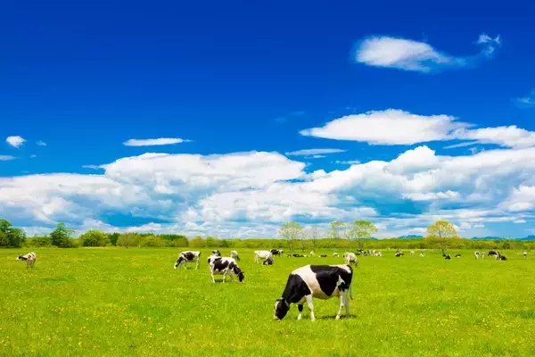 「一般社団法人別海ブランドストーリー設立後初の記者会見を4月8日に開催」の画像