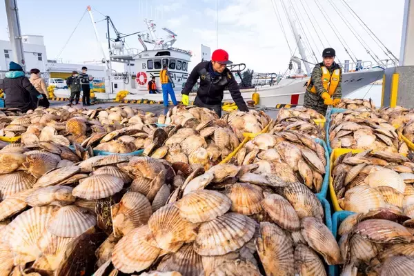 「一般社団法人別海ブランドストーリー設立後初の記者会見を4月8日に開催」の画像