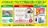 「ライオン×ちびまる子ちゃん「毎日フロスはじまるよ～！」」の画像3