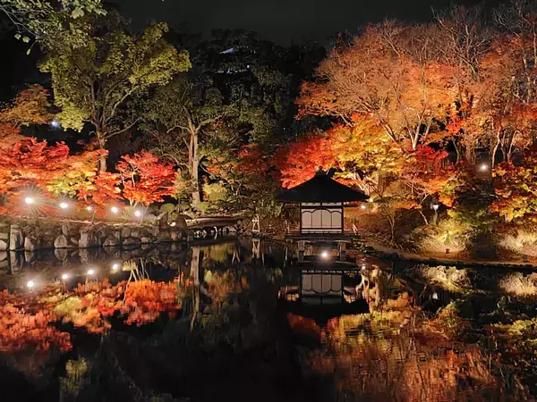 「名勝・西之丸庭園を歩く紅葉と光に包まれる秋のひととき写真映え間違いなしの、秋限定ビュースポット！」の画像