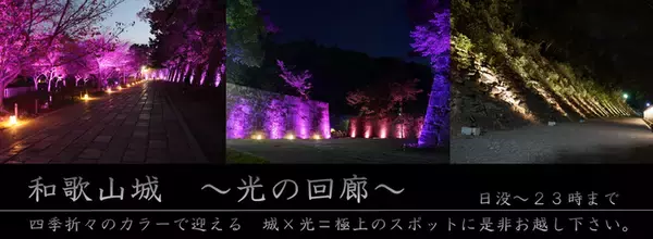 「名勝・西之丸庭園を歩く紅葉と光に包まれる秋のひととき写真映え間違いなしの、秋限定ビュースポット！」の画像