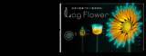 「観情植物「Log Flower」が「Tokyo Mirai Park」にて展示開始　最先端テクノロジーで作る「未来の一日」を体験」の画像1