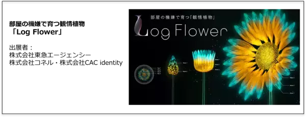 観情植物「Log Flower」が「Tokyo Mirai Park」にて展示開始　最先端テクノロジーで作る「未来の一日」を体験