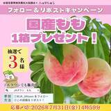 「～１日200gの国産くだものを食べよう！～全国の産地から旬のももをお届け全農直営飲食店舗で「国産ももフェア」を７月１８日（土）～７月３１日（金）まで開催」の画像2