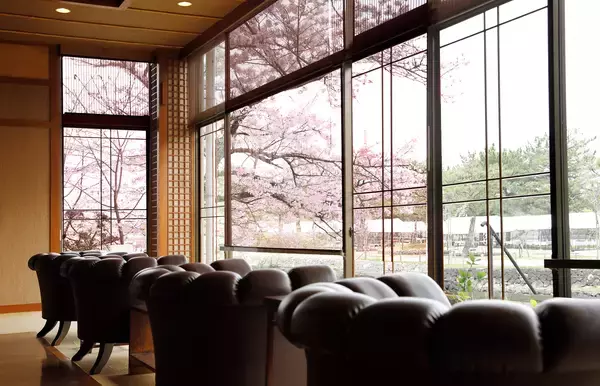 「桜の開花にあわせて、京都スタッフ運営の宇治川沿い飲食店、お土産処など3店舗でお花見にちなんだフェアを開催！！」の画像