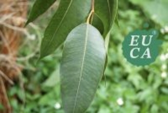 株式会社ユーカ　ヘルスケア事業再開へ最新の美容健康／ライフススタイル・コンテンツも提供して参ります