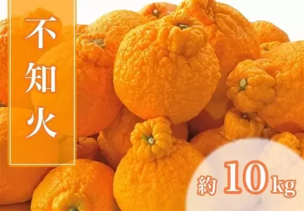 「JAタウンのショップ「みかんの里 ありだ」の対象商品が２０％OFFの「年度末大決算セール」開催中！」の画像