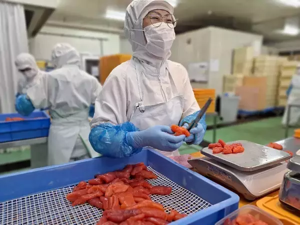 「創業50年以上の老舗明太子店「かねすえ本舗」楽天市場・ふるさと納税を通じ全国へ“北九州の味”を発信」の画像