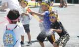 「＜埼玉・小川町＞道の駅おがわまち 夏イベント2026　五感で夏を浴びる6日間限定イベント「夏、全部あびる。」を8/11より開催」の画像2