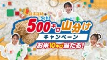 【広島ホームテレビ】12/27㈯スタート『お米500キロ山分けキャンペーン ～10キロ50名様プレゼント！～』を実施します