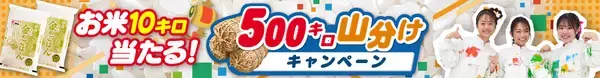 「【広島ホームテレビ】12/27㈯スタート『お米500キロ山分けキャンペーン ～10キロ50名様プレゼント！～』を実施します」の画像
