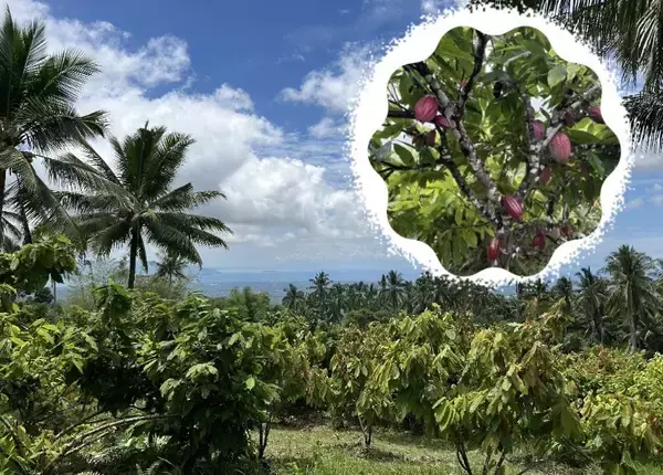 「カカオとチョコレートの力で子どもの未来を拓く！ 広島発のNPOによるソーシャルビジネスへの挑戦」の画像