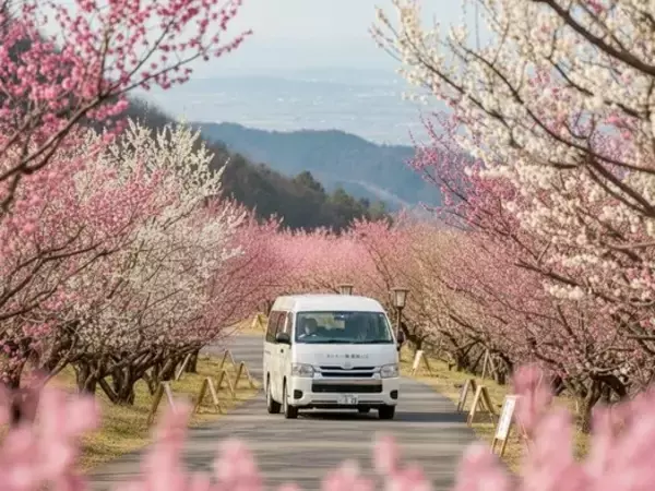 「成田・茨城空港からホテルへ専用車で直行！筑波温泉の"ホテル一望"が訪日・遠方客向けの「空港送迎付き宿泊プラン」を販売開始」の画像