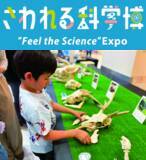 「ゴールデンウィークは「泉パークタウン タピオ」で過ごそう！『アイプリデビューパーティーDX』『さわれる科学博』開催！」の画像1