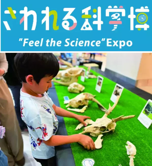 ゴールデンウィークは「泉パークタウン タピオ」で過ごそう！『アイプリデビューパーティーDX』『さわれる科学博』開催！