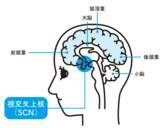 「『宇宙・生物・心・脳・芸術・社会・哲学・人生の視点から 読み解く! 時間の正体』2026年5月19日刊行」の画像3
