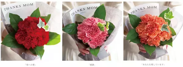 「花瓶や水換えが不要の「そのまま飾れる花束」シリーズなどnoemieが母の日特集ページを公開！早割クーポンも登場」の画像