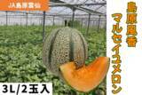 「長崎県産の「島原風香 マルセイユメロン」がJAタウンのショップ「もぐもぐながさき」に初登場！赤肉の濃厚な甘みと美しいストライプ模様が際立つ自慢の大玉果実を期間限定販売」の画像1